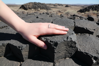 Bandables® Diamond Twilight Crest Band