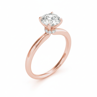 Secret Halo Round Diamond Engagement Ring