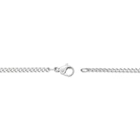 Steelwave Curb Chain