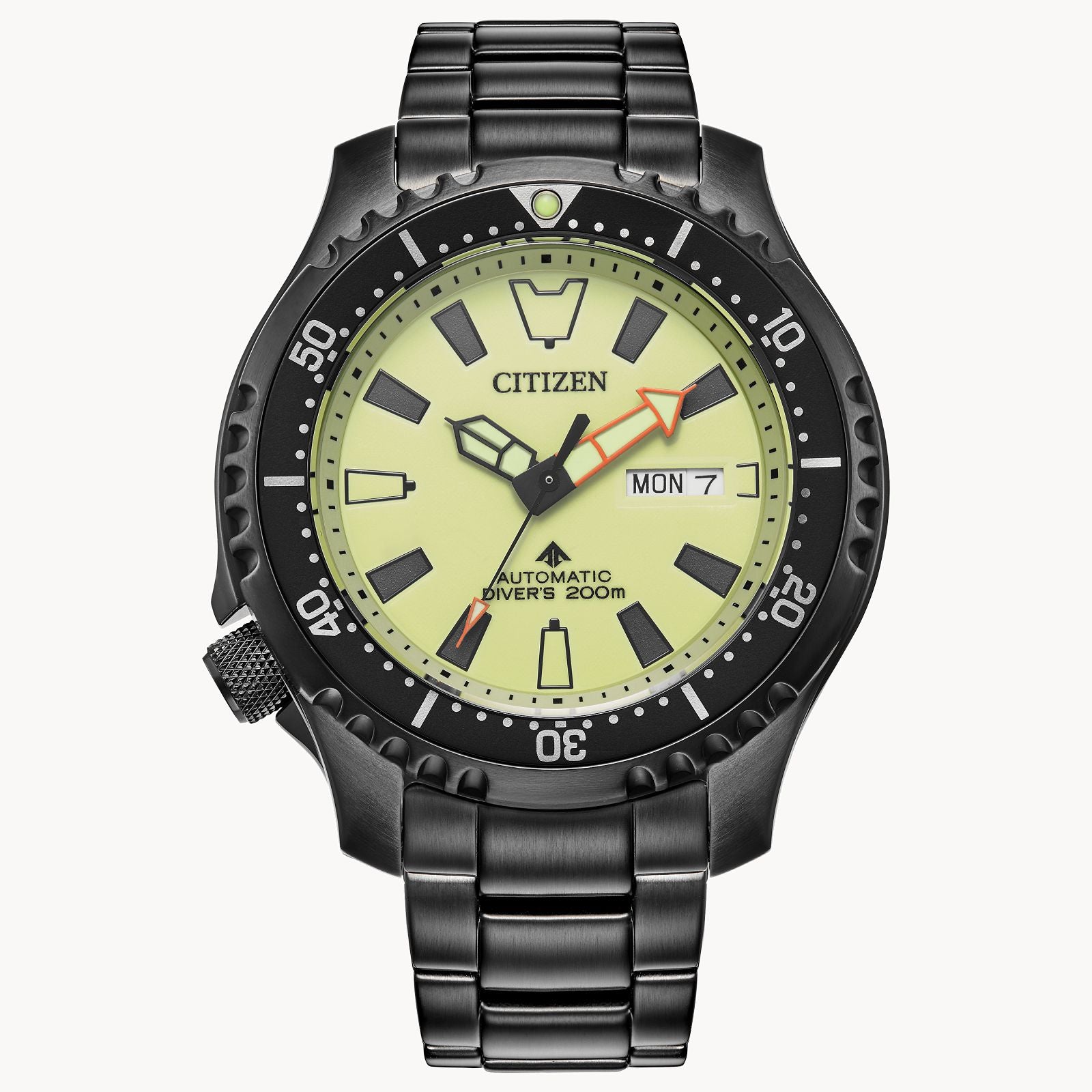 Men’s Promaster Dive Automatic Fully Luminous Dial Watch