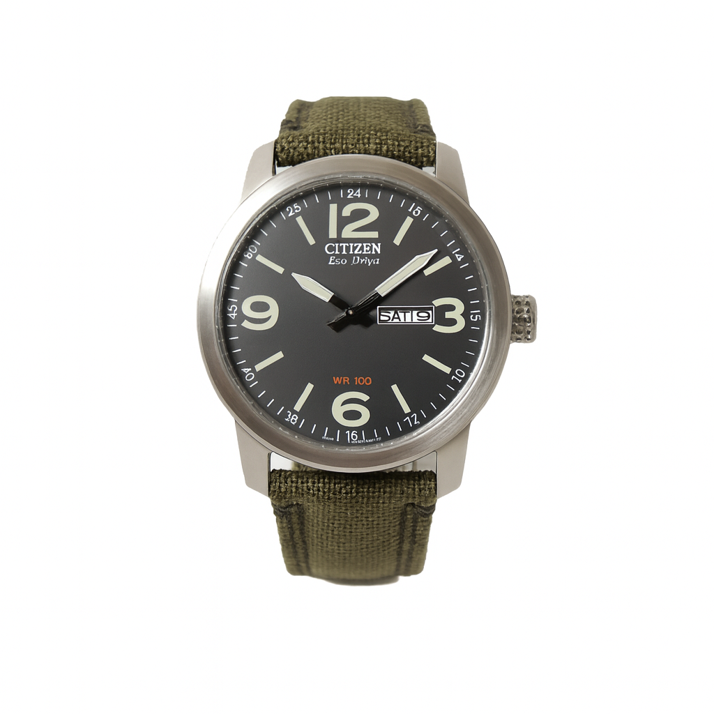 Citizen® Military Commemorative Eco-Drive Men's Watch