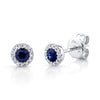 Shy Creation® Starlit Sapphire Earrings