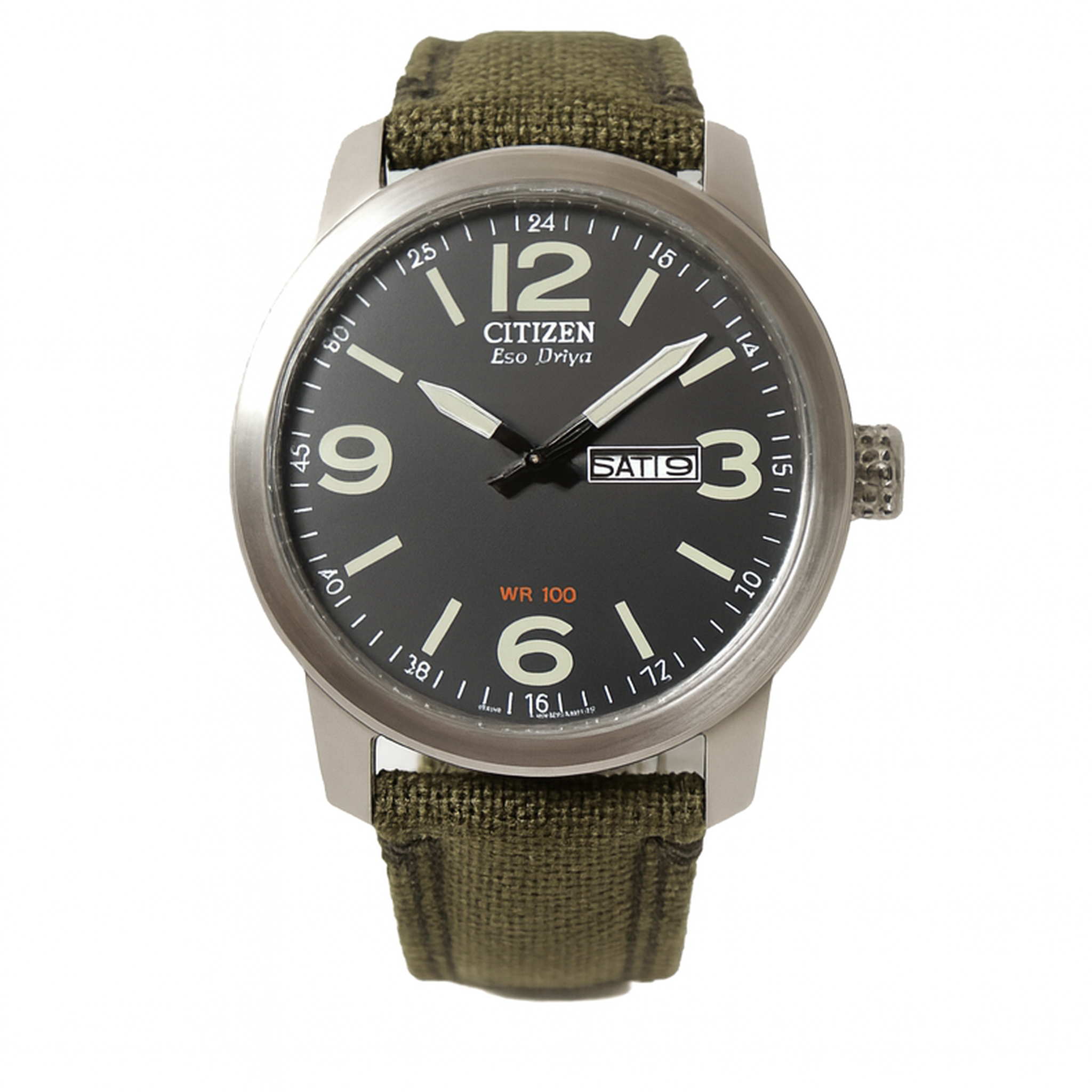 Citizen® Military Commemorative Eco-Drive Men's Watch